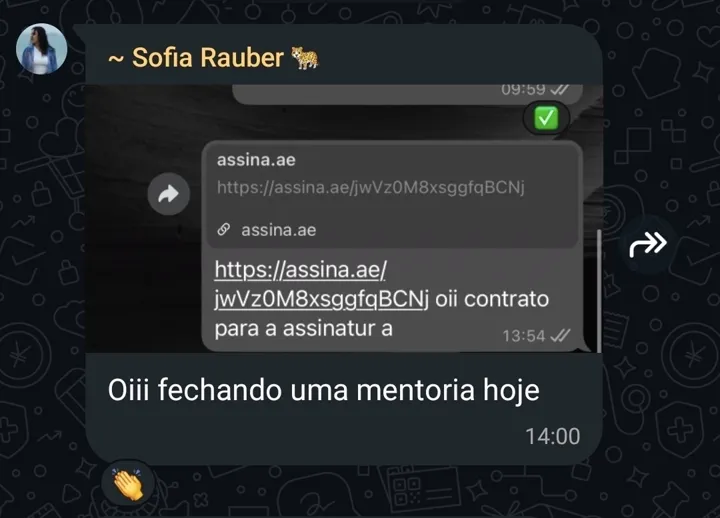 Sofia Rauber — fechando uma mentoria hoje